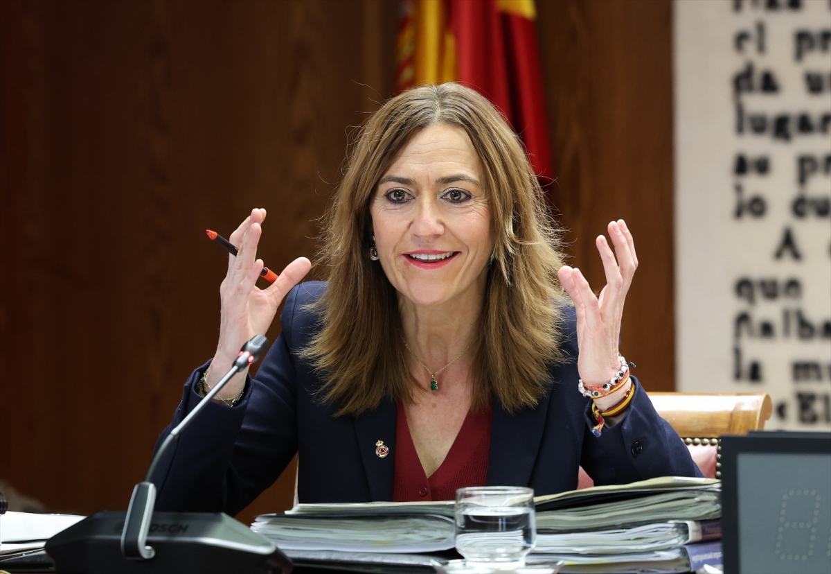Barcones (Protección Civil) insiste en el Senado: la Generalitat tendría que haber pedido la emergencia nacional el 29O