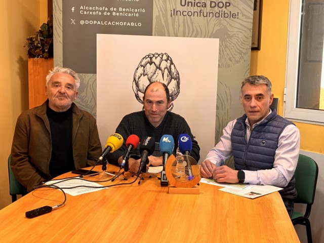 Benicarló acoge el primer Congreso Nacional de la Alcachofa con un centenar de productores o investigadores