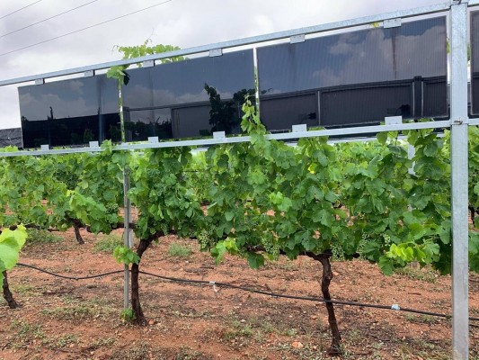 La UPCT investiga cómo unir la producción energética y la agrícola ante la situación climática