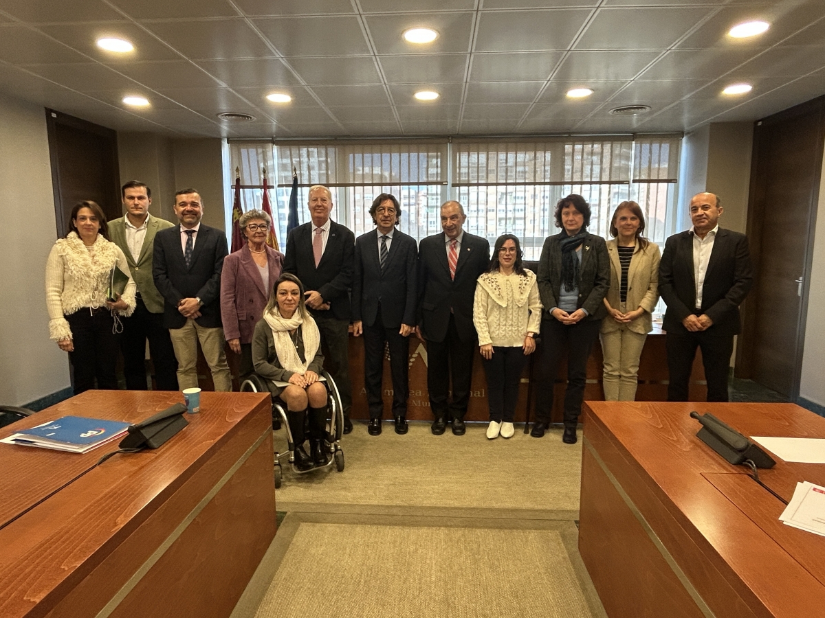 La Comisión Especial de Estudio sobre Infancia y Adolescencia. - Foto: A. R. M. La Comisión Especial de Estudio sobre Infancia y Adolescencia.