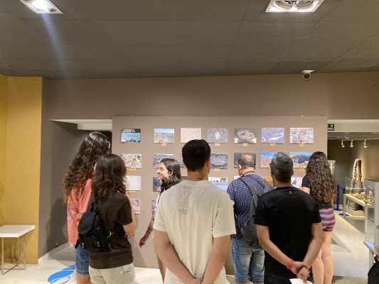 El Museo Paleontológico de Elche editará su primera guía para el visitante