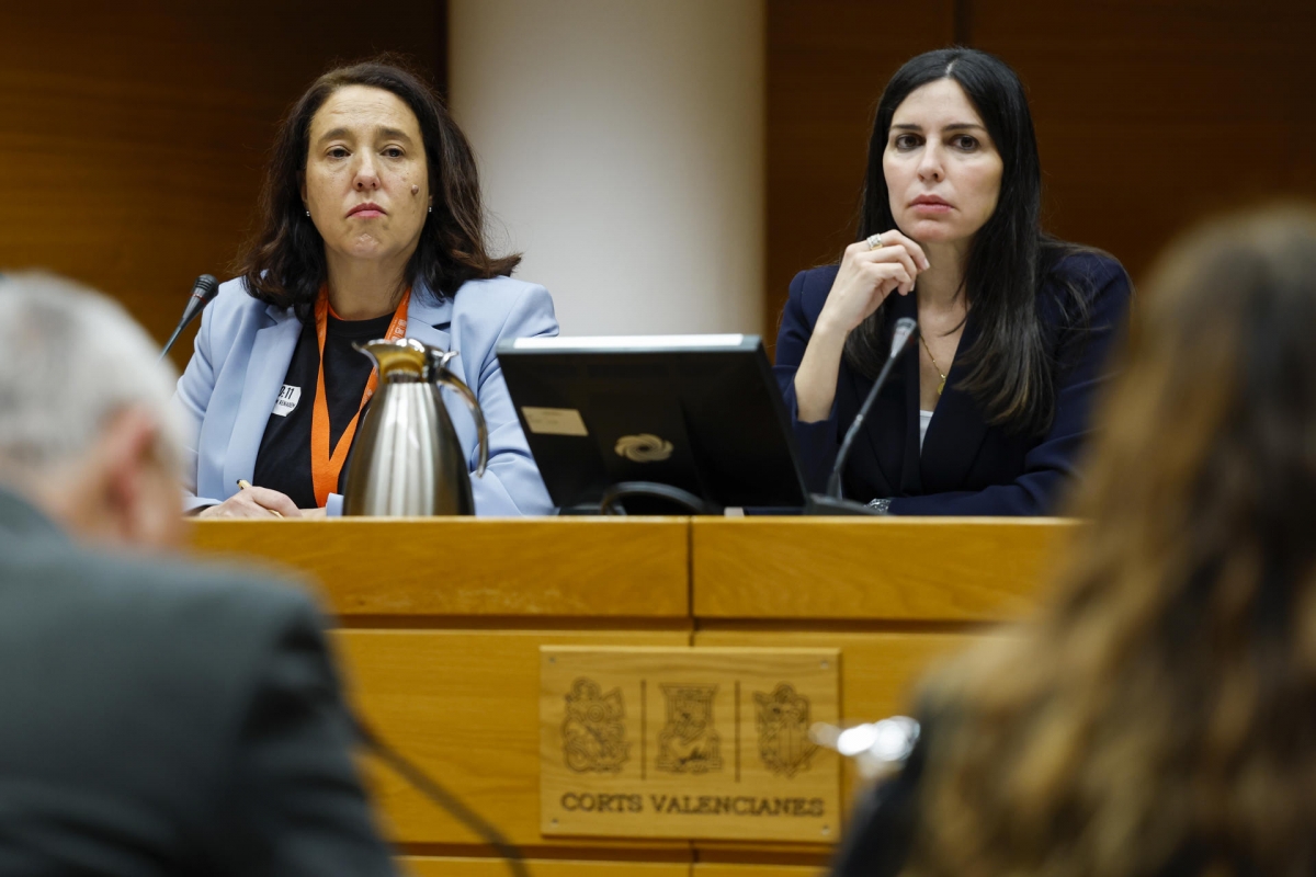 La presidenta de la Associació de Víctimes de la Dana, Mariló Gradolí. - Foto: EFE/ANA ESCOBAR La presidenta de la Associació de Víctimes de la Dana, Mariló Gradolí.