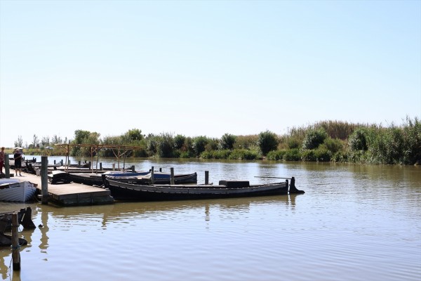 L'Albufera pierde 10 centímetros de profundidad en dos décadas en un proceso agravado por la Dana