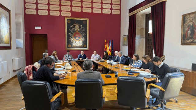 La Junta del Palmeral de Elche da luz verde al estudio para el ascensor junto al Puente de Santa Teresa
