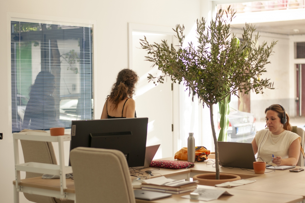 Dinamic Coworking tiene sus instalaciones en Benicasim - Dinamic Coworking tiene sus instalaciones en Benicasim