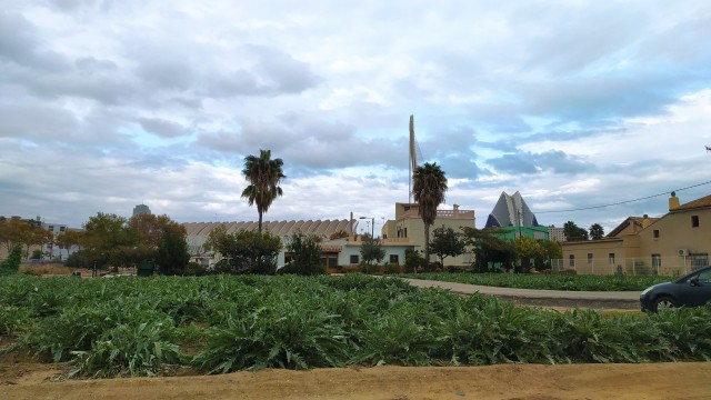  València controla con fibra óptica y sensores el riego de acequias de la huerta con el Proyecto Horta-Tech