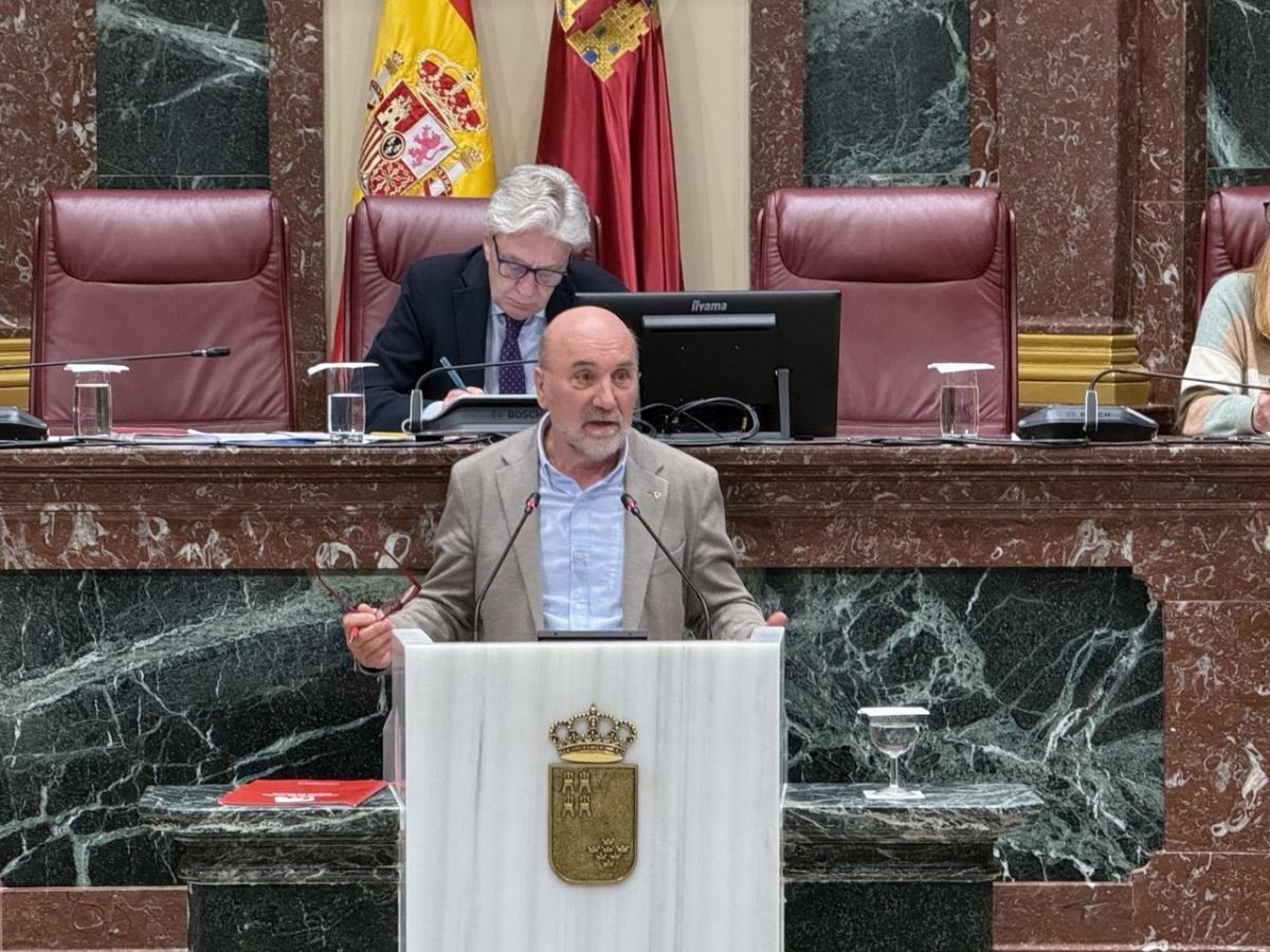El diputado de Izquierda Unida, Álvarez-Castellanos, nombrado portavoz del Grupo Mixto hasta el verano