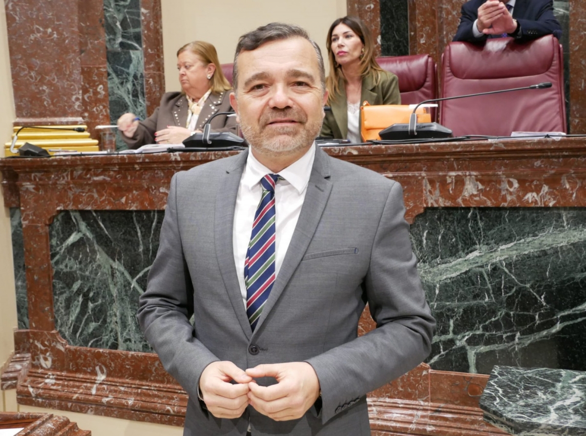 Carlos Albaladejo, diputado del PP.