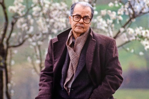 ‘La divina floresta’, la vida aprendiendo a vivir