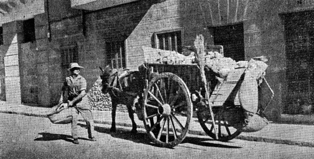 El incivismo y el olvido, un problema ancestral del que ya daba cuenta la prensa murciana a principios del siglo XIX