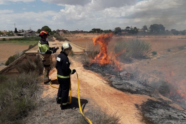 El Ayuntamiento de Cartagena ordena el desbroce de parcelas para prevenir plagas e incendios
