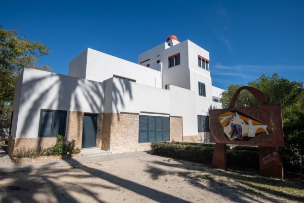 Hitos del palmeral de Elche en 2026: centro de recepción del Hort del Gat en agosto y Plan Especial en el año