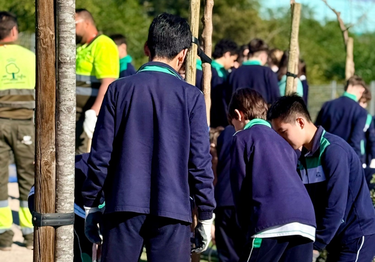  - Foto: AYTO. MURCIA