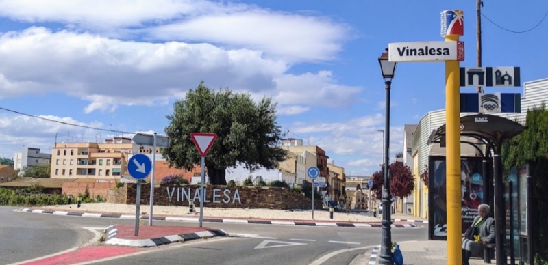 Entrada al municipio de Vinalesa.
