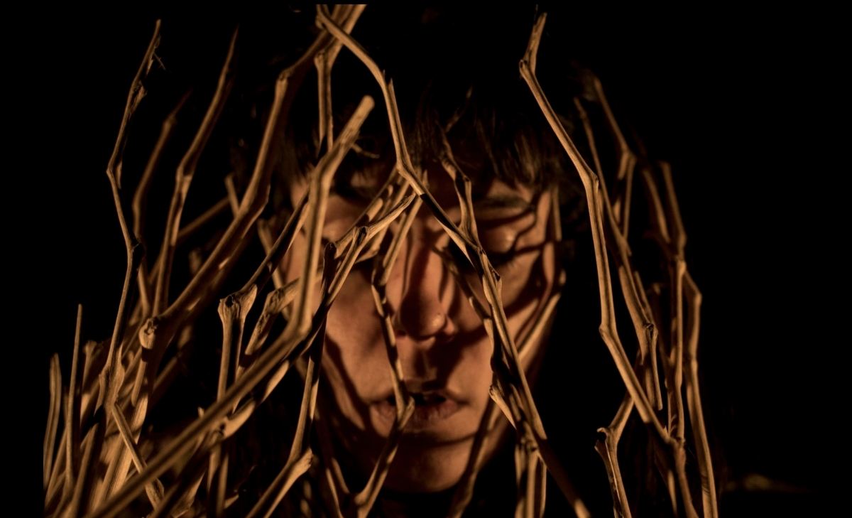 La Siamesa en La Granja - La Siamesa en La Granja