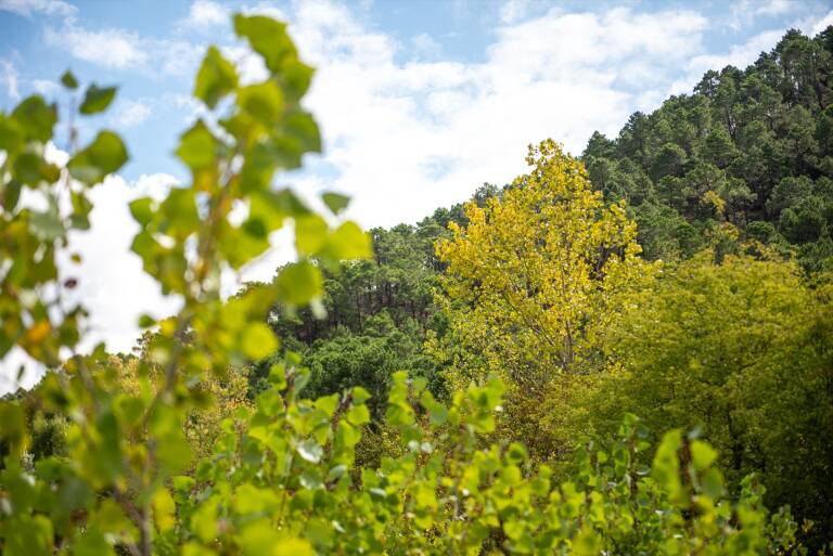 Entra en vigor la ley europea de restauración de naturaleza