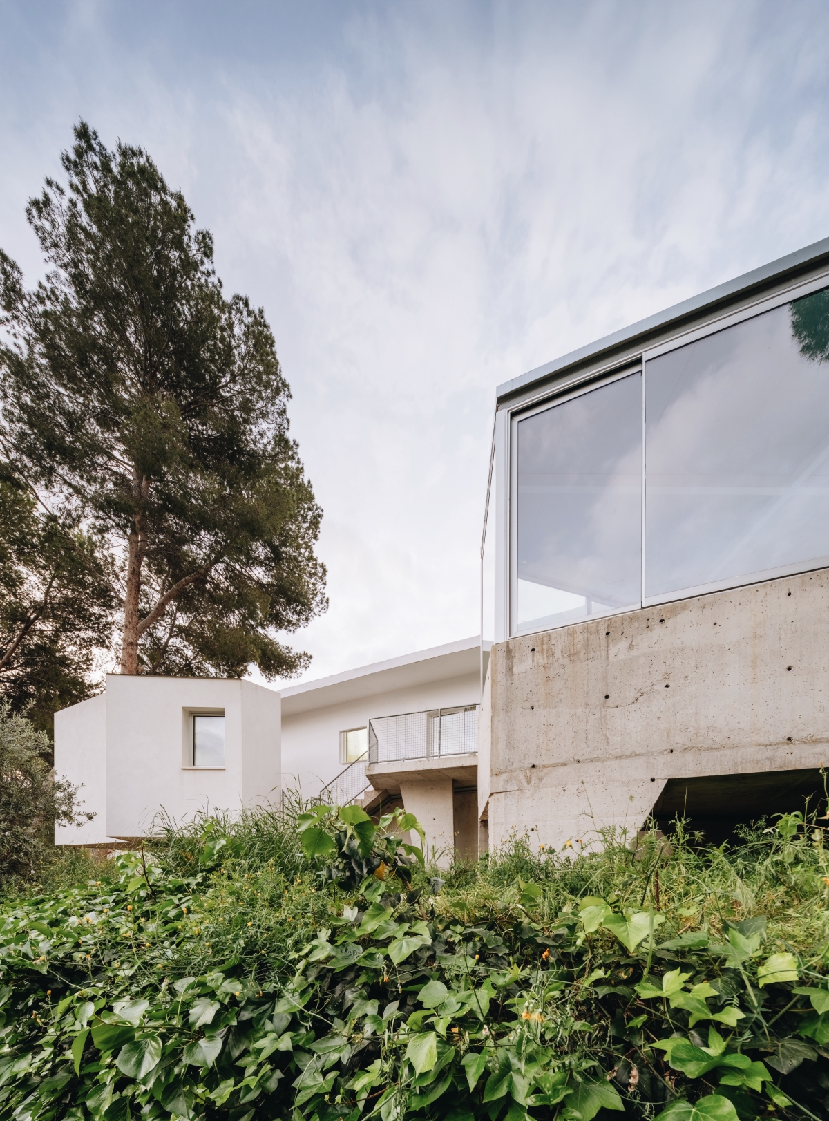  - Foto: DAVID FRUTOS