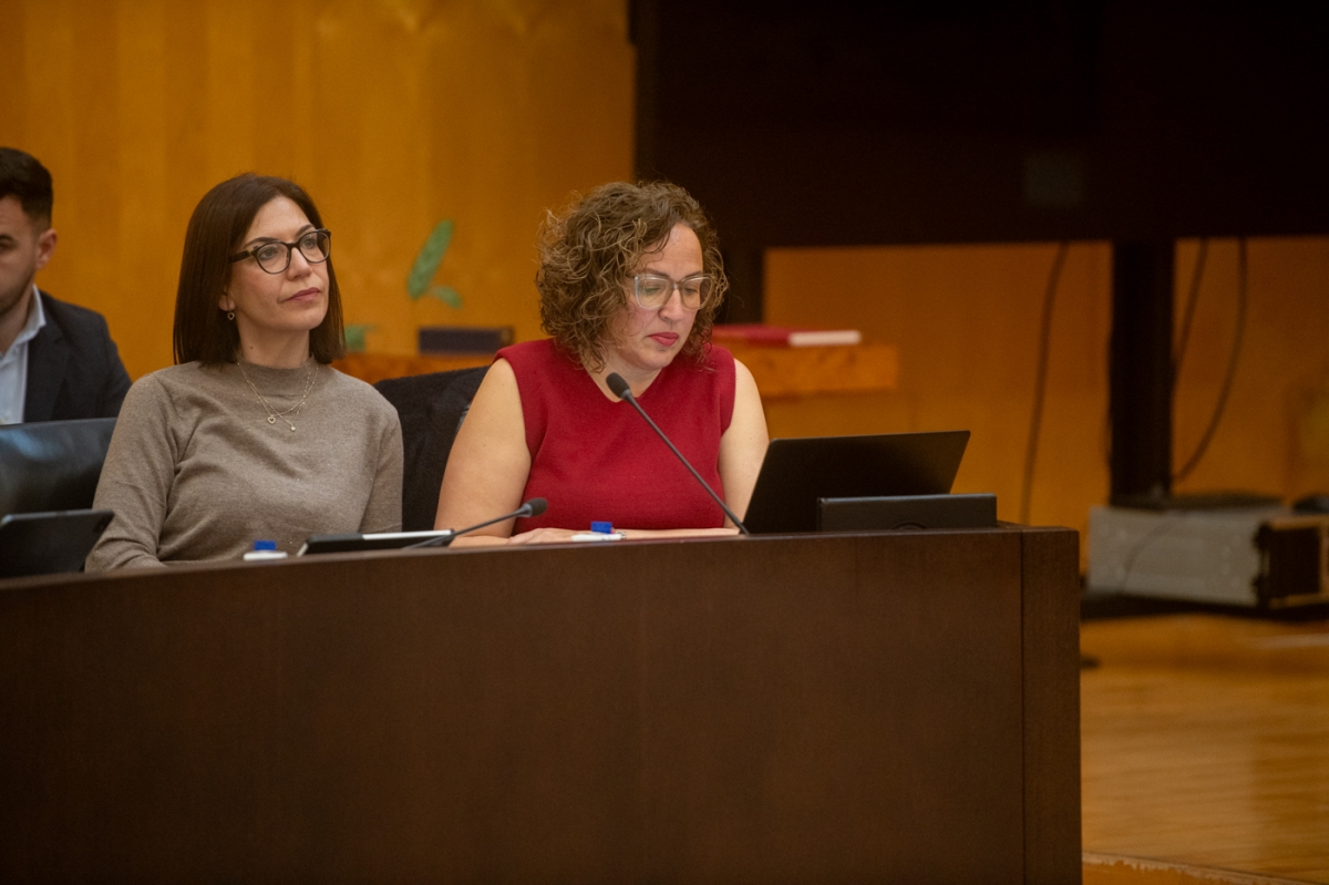 Lourdes Caselles. - Foto: RAFA Molina. Lourdes Caselles.