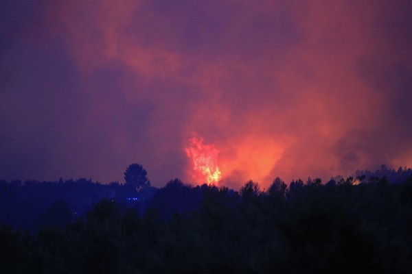 La Unidad Militar de Emergencias prevé que el impacto de los incendios sea este verano moderado