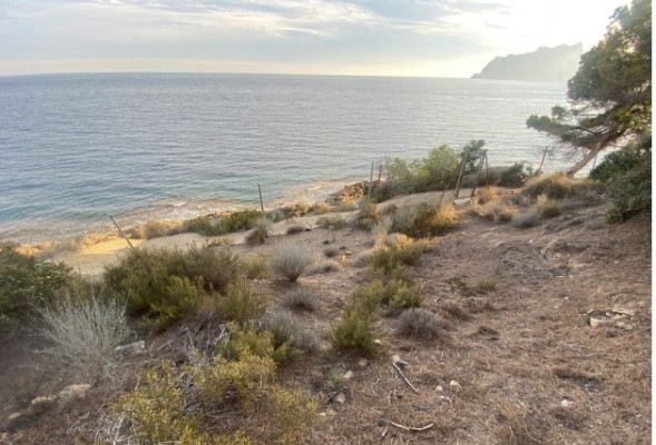 Benissa Natura reitera que cumple con la leglidad en el proyecto urbanístico de Patmore