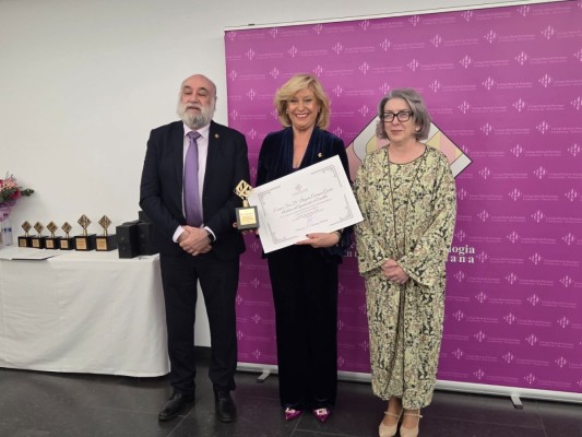 El Colegio de Psicología de la Comunitat reconoce a Castelló por su apuesta por la salud mental