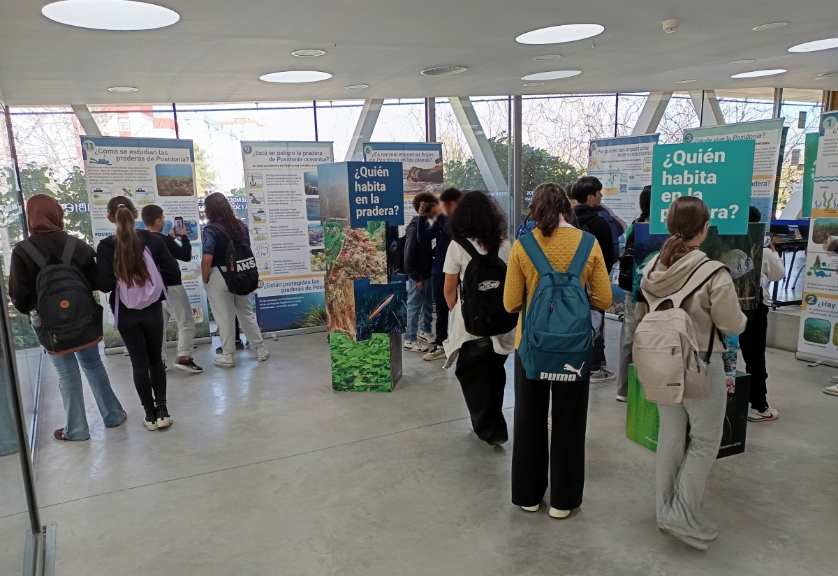 Alicante acerca la importancia de la posidonia con una exposición divulgativa en el Observatorio de Medio Ambiente Urbano