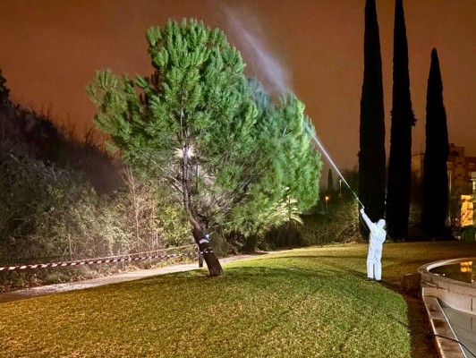 Murcia lleva las medidas contra la oruga procesionaria del pino a unos 30 barrios y pedanías