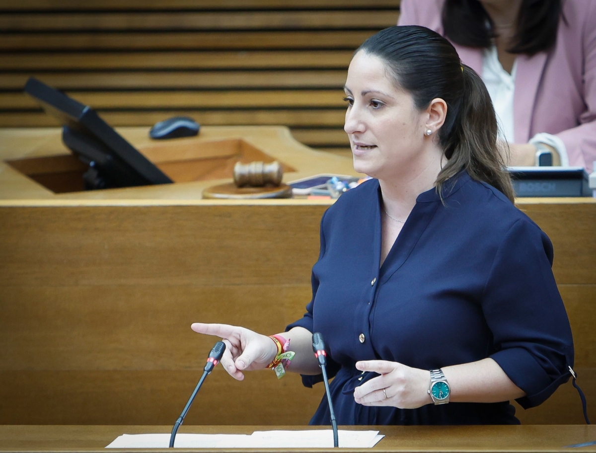 Vox propone a la diputada alicantina Ana Vega como presidenta de la comisión de las VPP de Les Corts