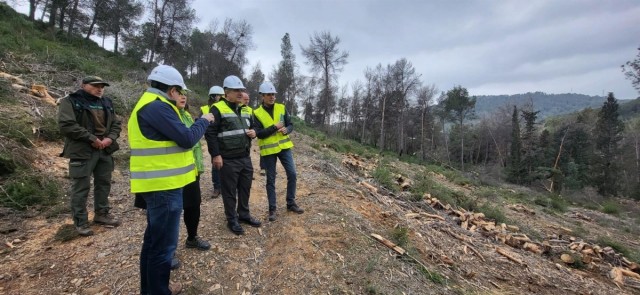 La peor sequía en 64 años pasa factura: la Comunidad destina 21 millones de euros en dos años para luchar contra la deforestación