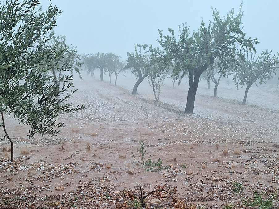 Agroseguro destaca los daños de la DANA en buena parte de la provincia de Castellón