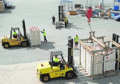 Sudáfrica, Brasil y Argentina elevan un 22% las interceptaciones de plagas en sus cítricos importados a la UE