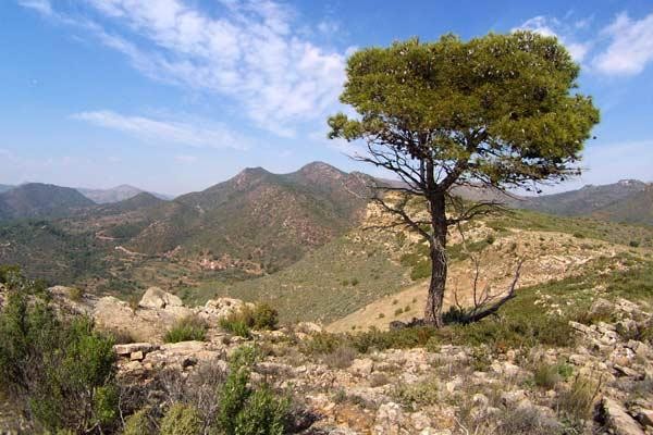 Els amagatalls més calents per als peluts de la Calderona
