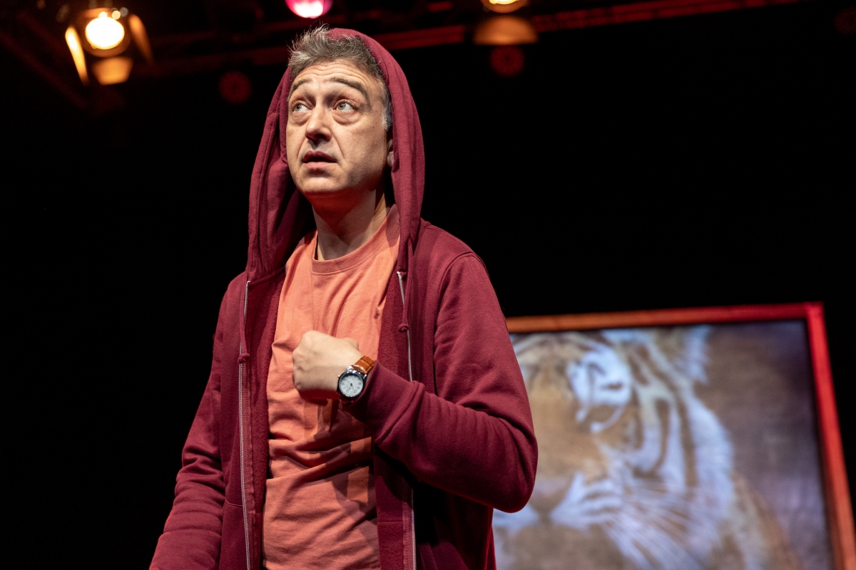 Herramientas para desactivar a un incel en el aula