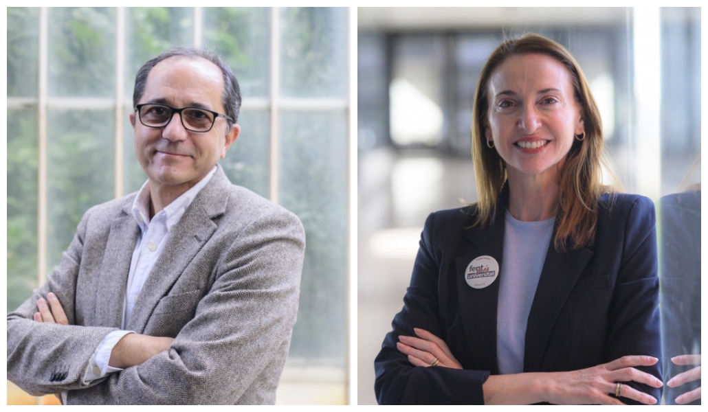 Gandía o Solanes: una segunda vuelta con el foco en varias facultades y el arrastre de otras candidaturas