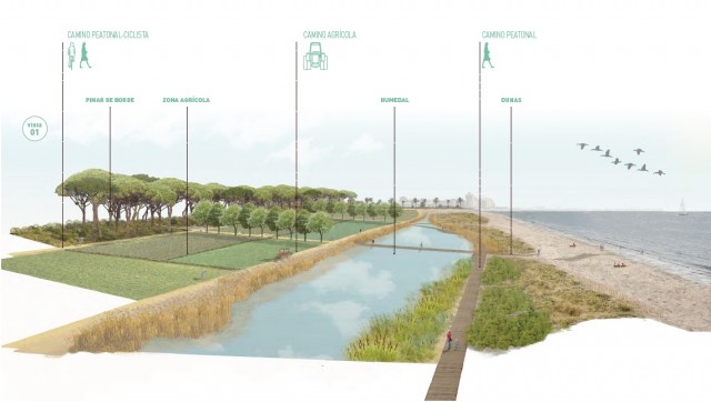 El proyecto de humedal artificial de Alboraya, solución a los vertidos contaminantes