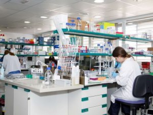 De medicina del trabajo a microbiología: Sanidad creará cuatro nuevas escalas sanitarias
