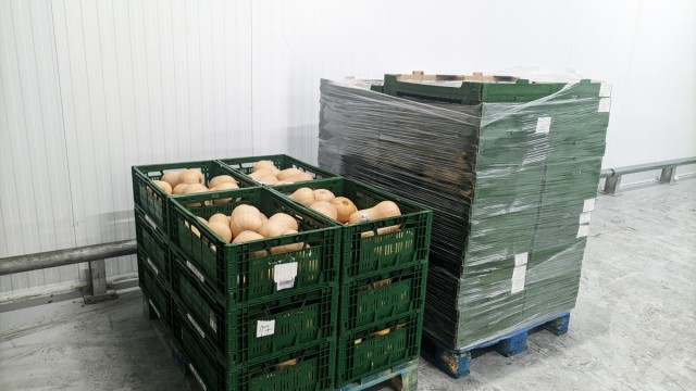El Banco de Alimentos del Segura recauda más de 53.000 euros y 75.000 kilos en Murcia