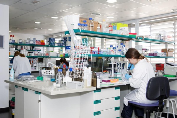 Sanidad destina 3 millones para la investigación sanitaria, biomédica y de salud pública
