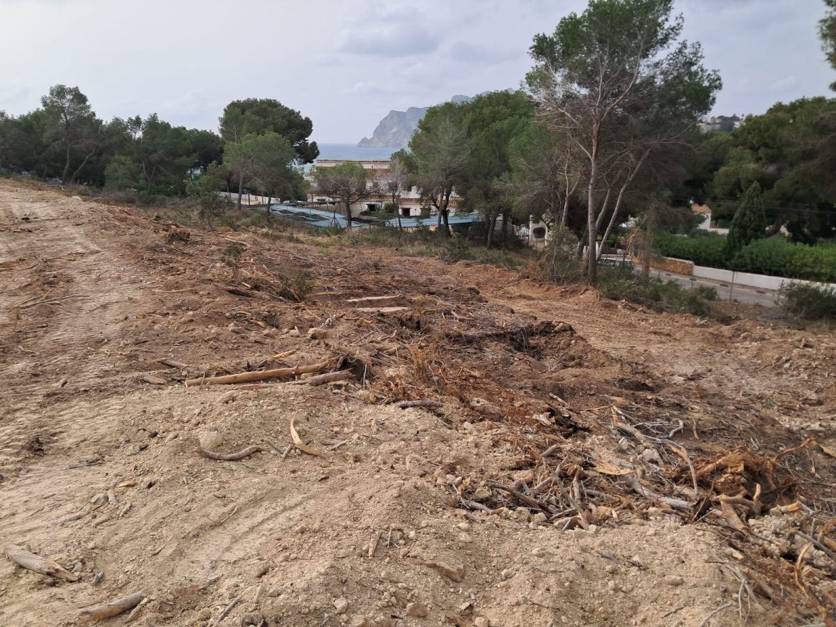 La Fiscalía abre diligencias e insta a la Guardia Civil a investigar las actividades en Patmore, el último litoral 'virgen' de Benissa