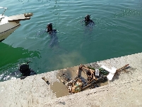 PortCastelló impulsa un proyecto ambiental para proteger la microrreserva de flora de la playa del Serradal