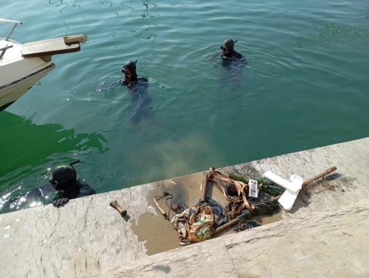 PortCastelló impulsa un proyecto ambiental para proteger la microrreserva de flora de la playa del Serradal