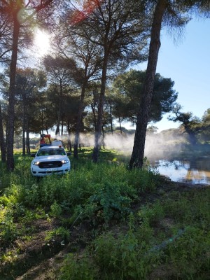 Sevilla refuerza la prevención del Virus del Nilo con dos lotes adjudicados a Lokímica tras el balance positivo de 2025