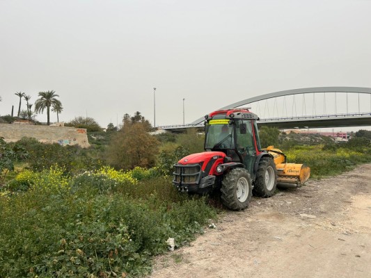 Elche desbroza el sendero sur del Vinalopó y pretende extenderlo hasta los 50 km hacia Aspe y Crevillent