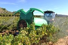 El riesgo de desabastecimiento de fertilizantes enciende las alarmas en el campo valenciano