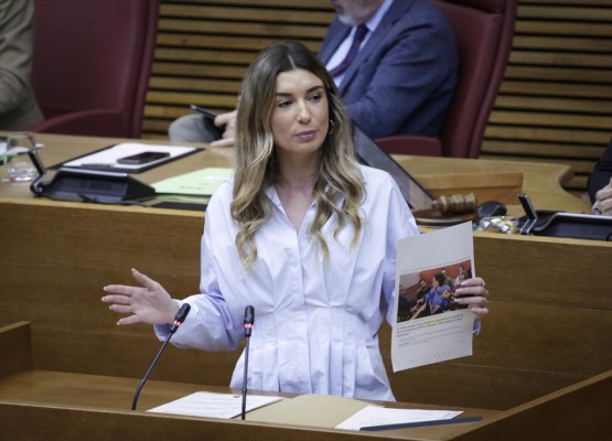 Les Corts rechazarán mantener la calificación permanente de VPP y reforzar inspecciones