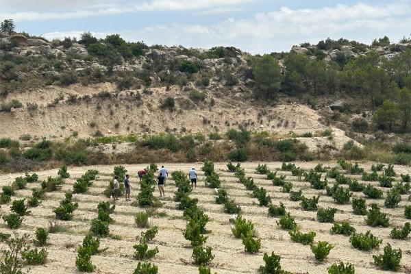 Alfredo Fornas gana el Concurso de Microrrelatos de la DOP Alicante con 'El vino perfecto'