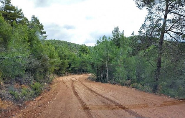 Diputació mejorará 25 km de caminos de interés territorial en la plana Utiel-Requena y la Serranía