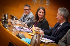 La comisión de las VPP echa a rodar en Les Corts: Ana Vega la presidirá y PP y PSPV estarán en la mesa