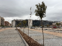 El aparcamiento de Hacienda en Murcia abrirá el 25 de marzo con 404 plazas y será gratuito hasta final de las Fiestas de Primavera