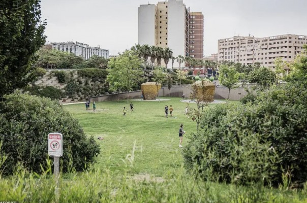 València planta 2.000 árboles en la ciudad en el marco de un plan de renaturalización

